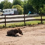 Johannisberg Кемпинг *