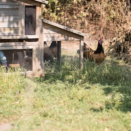 Johannisberg Κάμπινγκ *