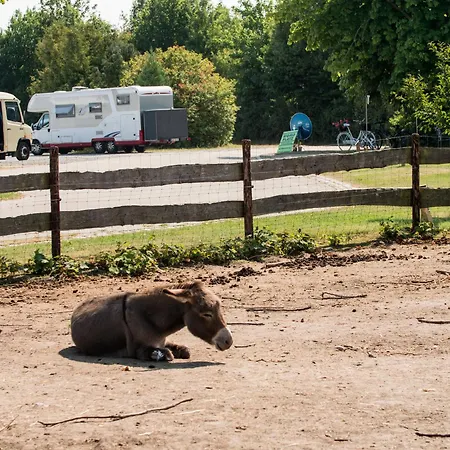 Johannisberg Campsite *