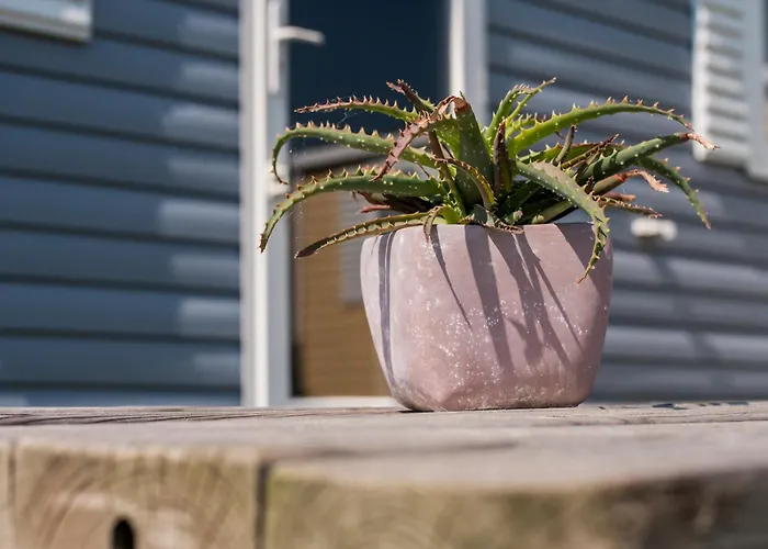 Johannisberg Campingplatz