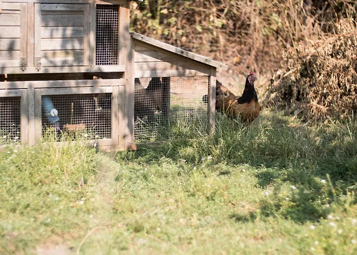 Johannisberg Κάμπινγκ *