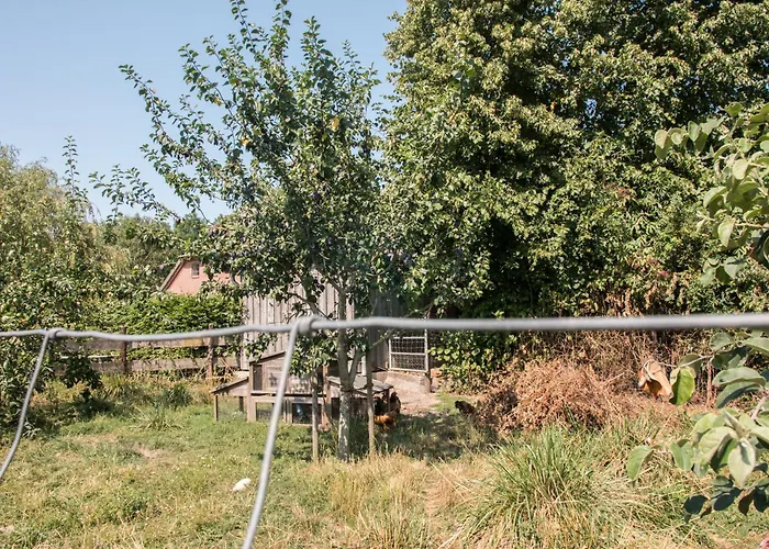 Johannisberg Κάμπινγκ *