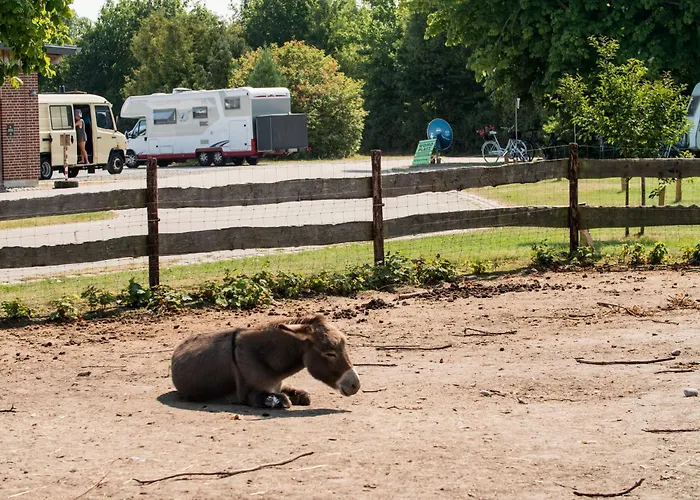 Johannisberg Camping *